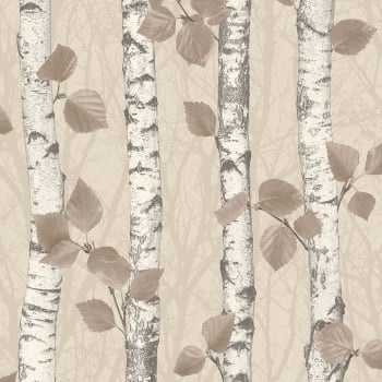 Fine Decor Birchwood Sparkle Glitter Wallpaper in Taupe/Cream FD41476 RRP 12.99 CLEARANCE XL 6.99